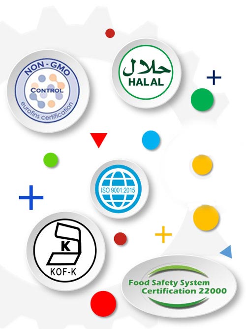 DB真人旗舰集团