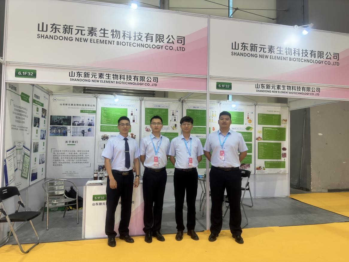 DB真人旗舰集团