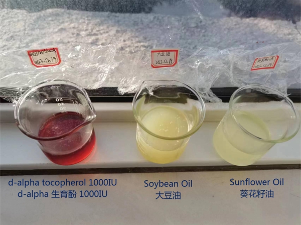 DB真人旗舰集团